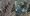 Satellite images show Iran's Fordow nuclear site before and after the U.S. strike. AFP